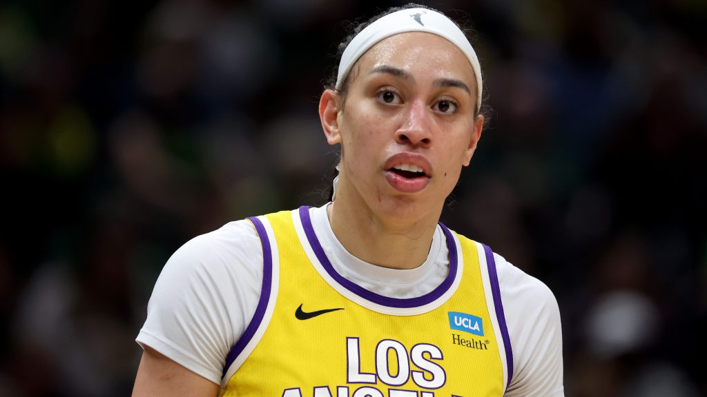 Hamby Says WNBA is Joint Employer as 2019 College Athlete Case is Key