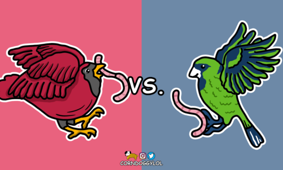 Seattle Seahawks Week 12 Matchup Doodle :)