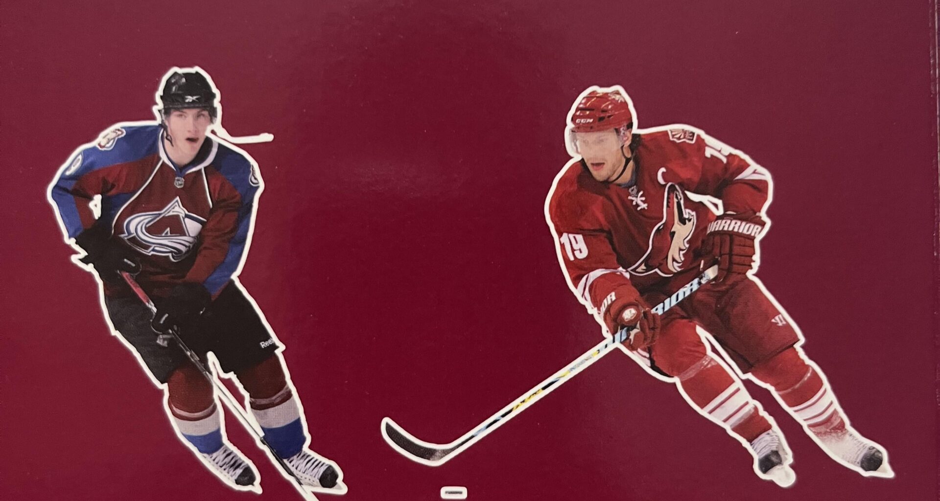 A book I bought my nephew last year ( Hockey Colors)