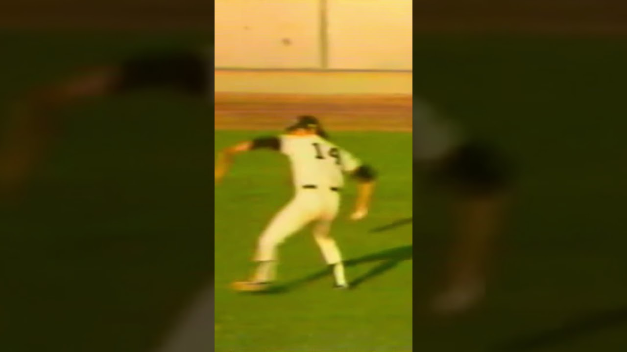 Lou Pinella Loses The Ball In The Sun