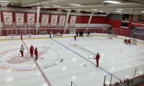 Lines at practice today for the Wings