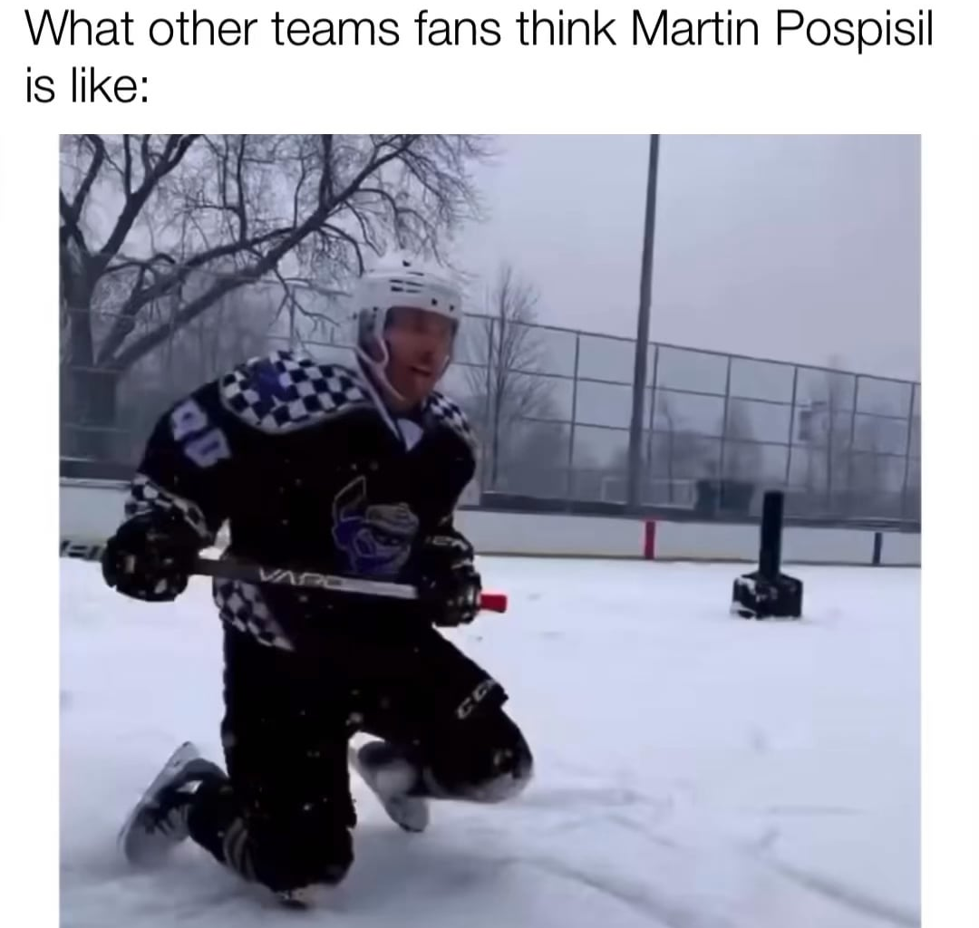 What teams think Martin Pospisil is like