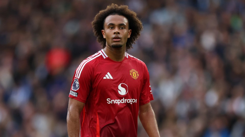 Manchester United bought Joshua Zirkzee for £36million in July 2024