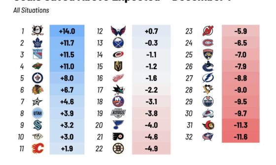 Thoughts on the goaltending?