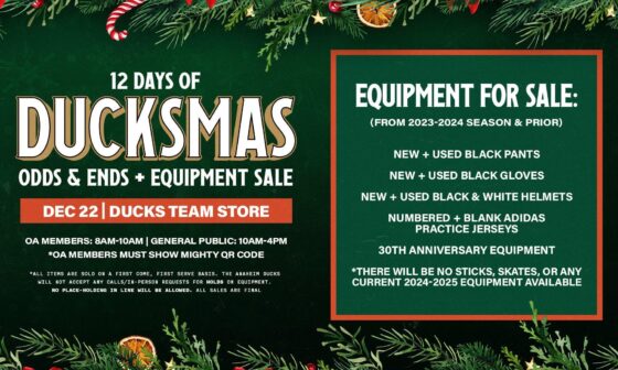 Equipment Sale