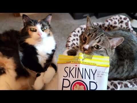 Cats vs. Skinny Pop: The Ultimate Popcorn Reaction!