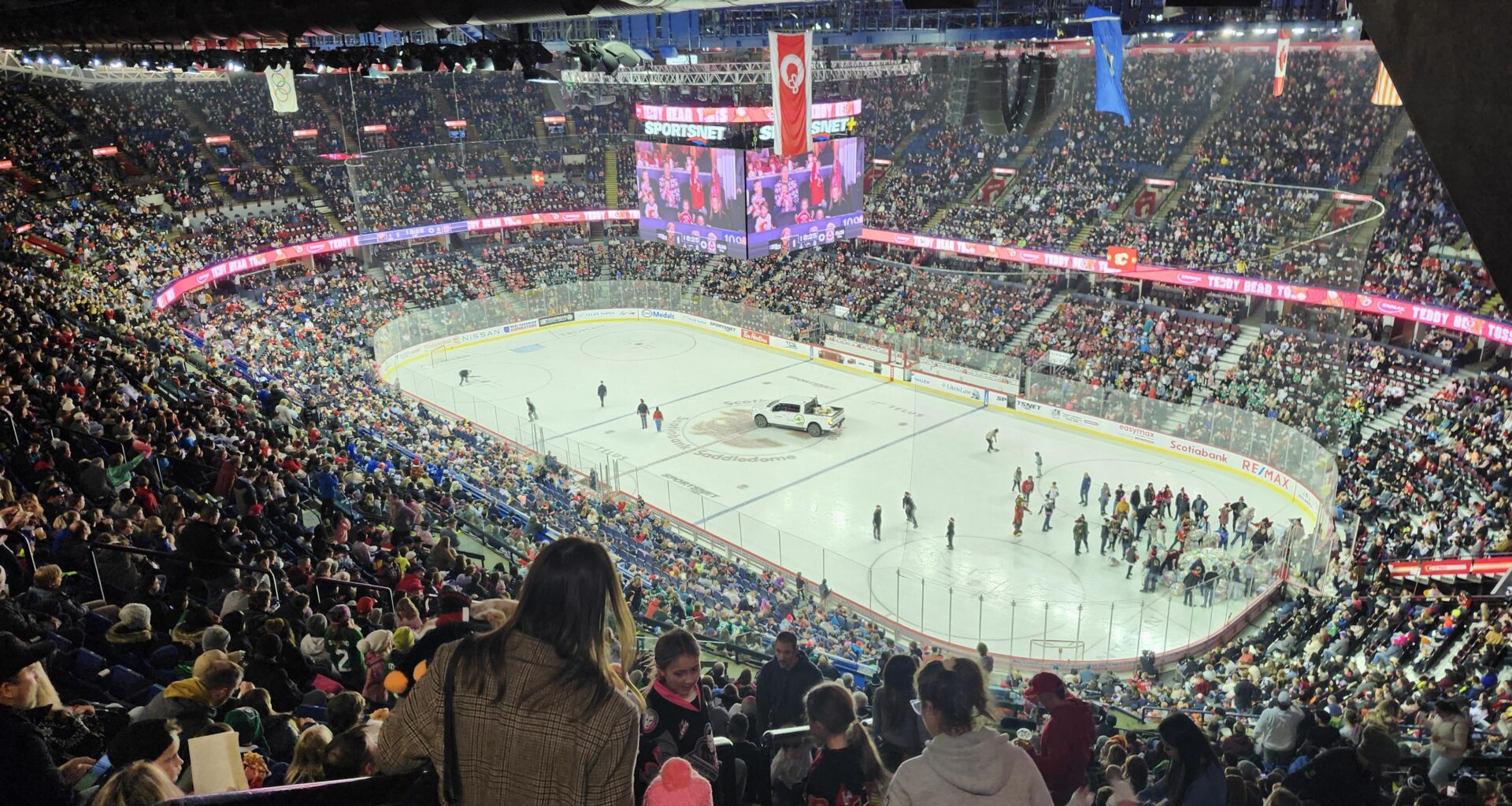 Teddy Bear Toss Photo