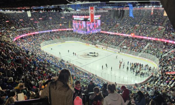 Teddy Bear Toss Photo