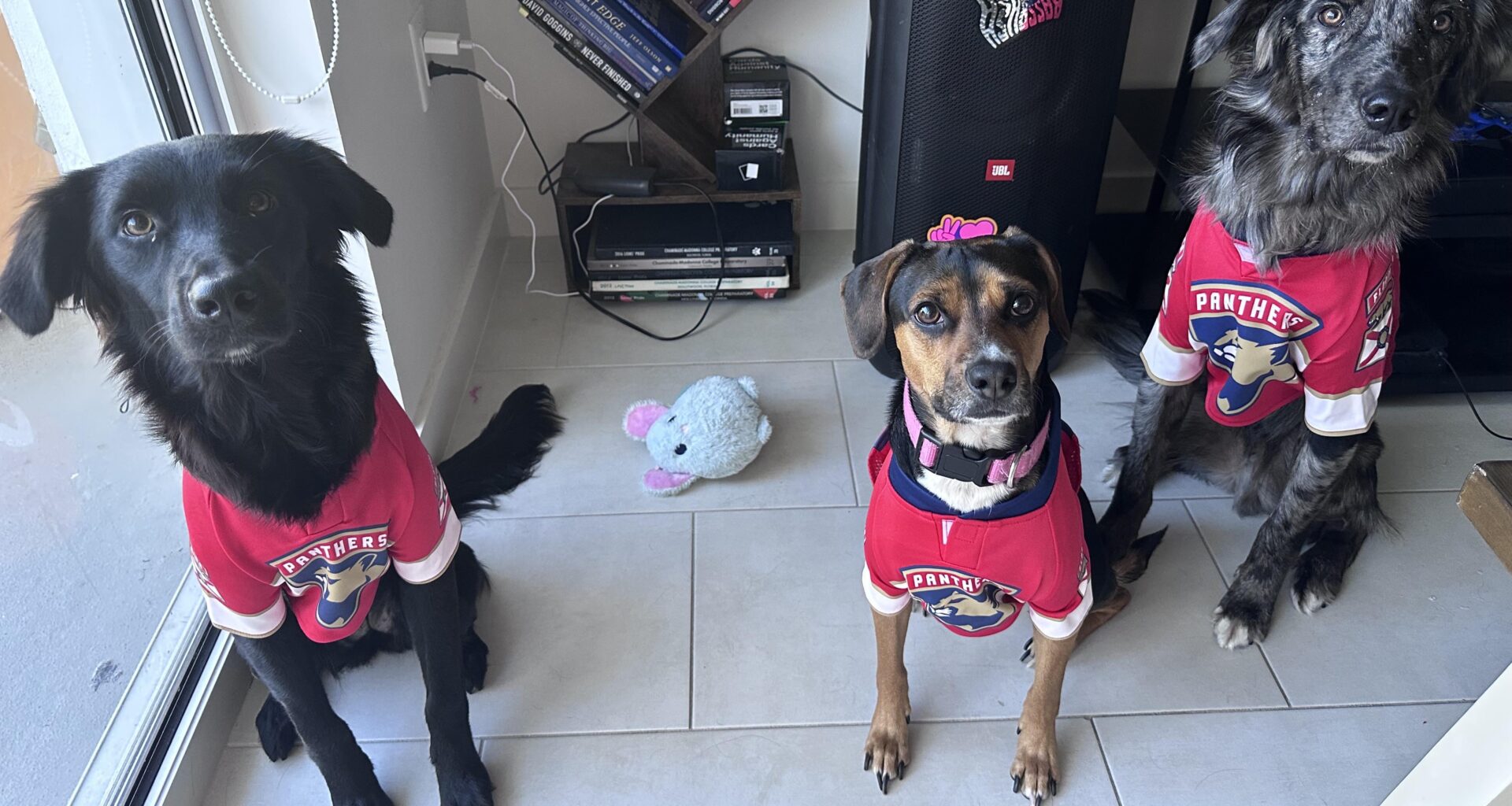 The pups are ready for game day 🏒