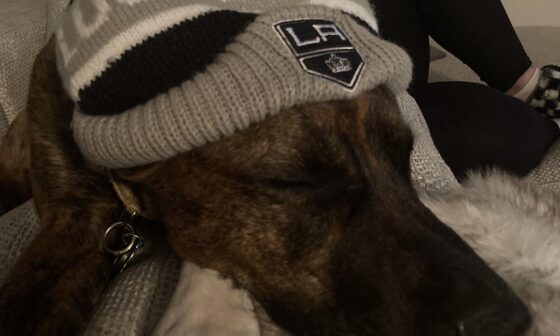 Calmest Kings fan in the house. Enjoys when dad’s team wins. Oblivious to what a “loss” is. No concept of point system.