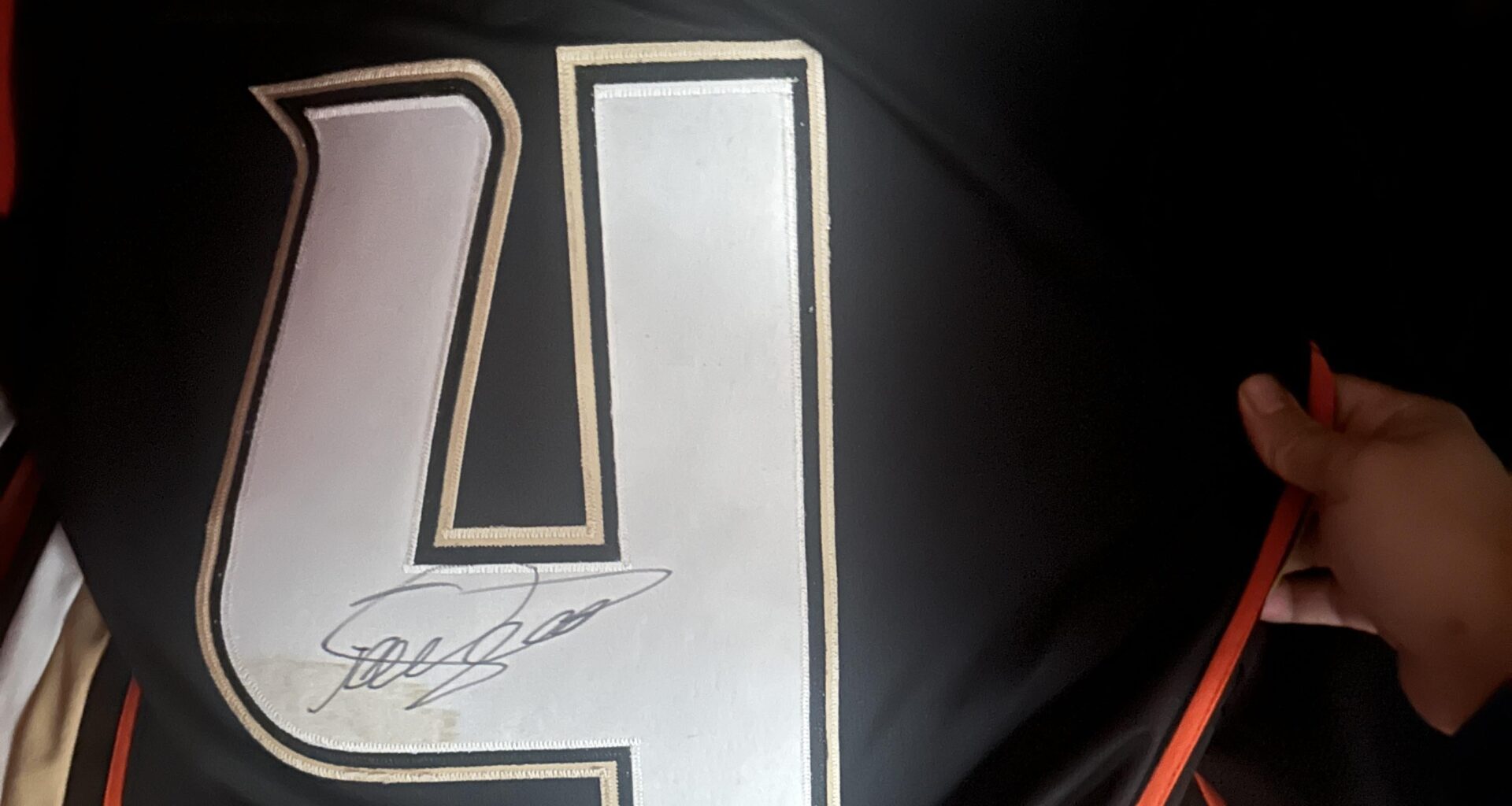 What is a signed Fowler jersey worth now? (It’s signed by Selanne, not Cam)