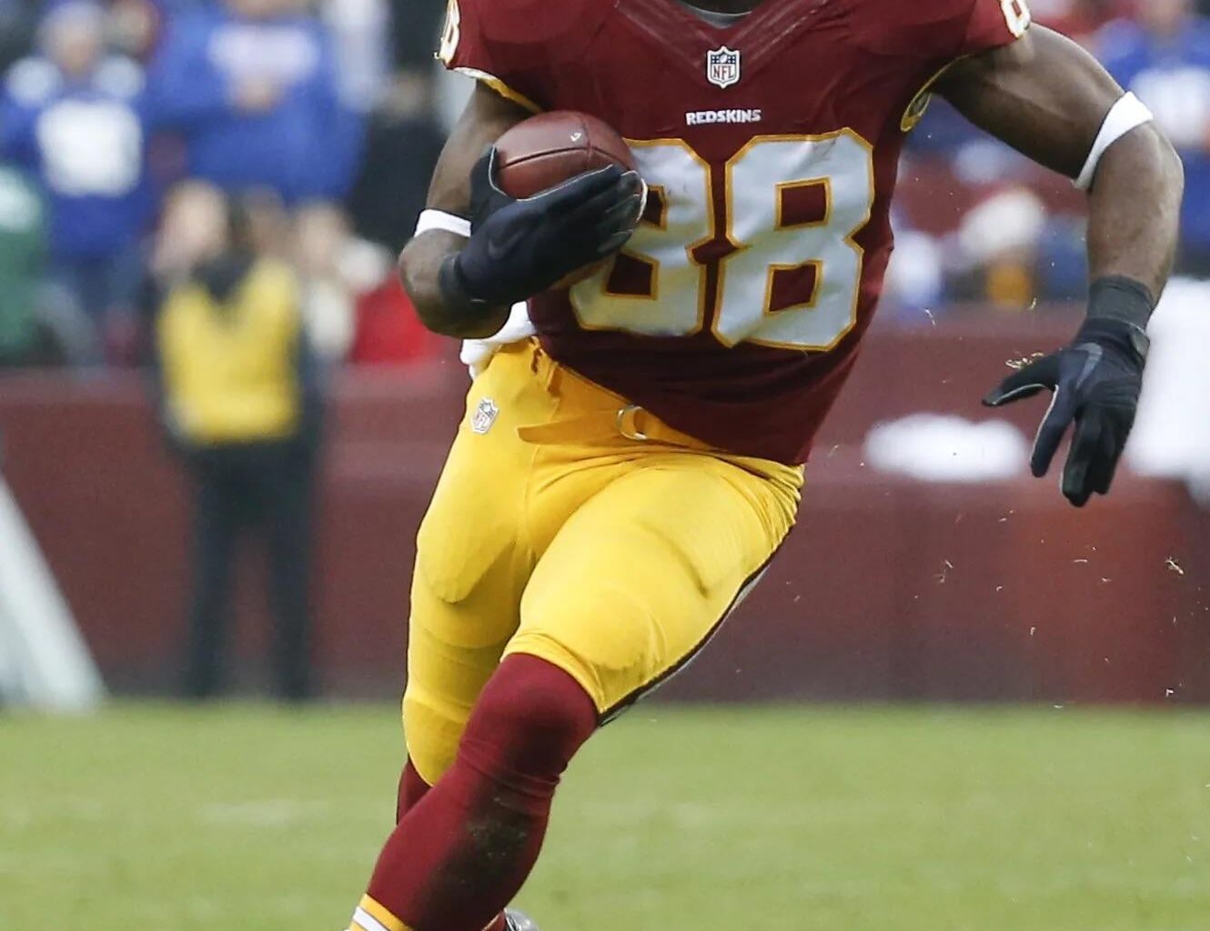 Any Pierre Garçon fans out there still?