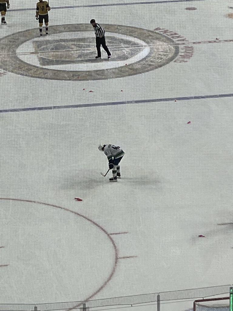 Quinn Hughes Post Game