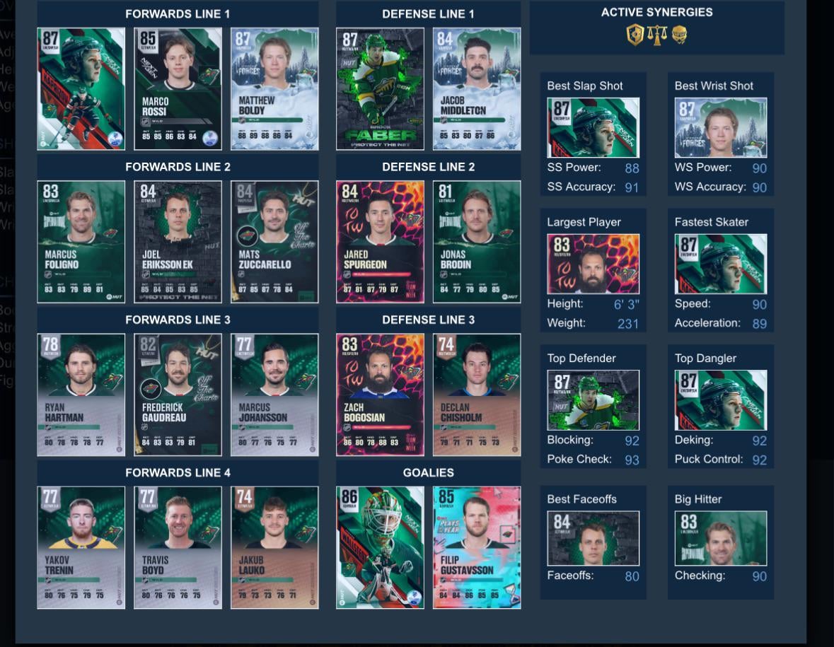 Wild theme team in HUT 25