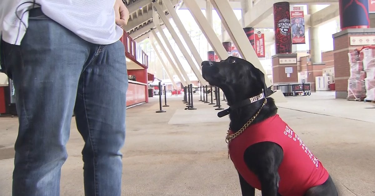 RIP Good Boy… Ripken The Bat Dog for Durham Bulls Passes Away