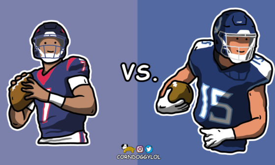 Houston Texans Week 18 (End of Regular Season) NFL Doodle!